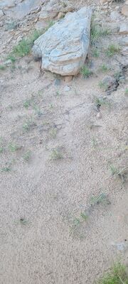 20240830_170824.jpg