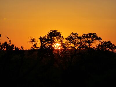 20240830_194752.jpg