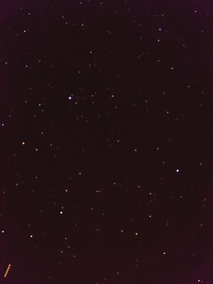 20240830_224205.jpg