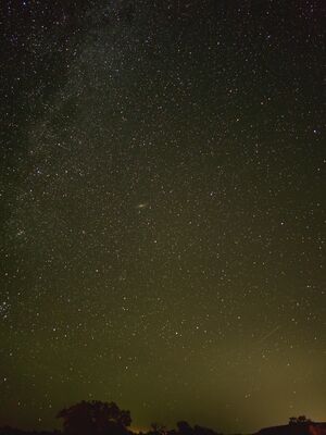 20240830_230604.jpg