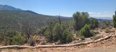 20240831_120800.jpg