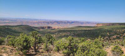20240831_121108.jpg