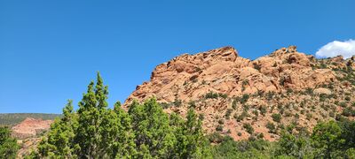 20240831_133257.jpg