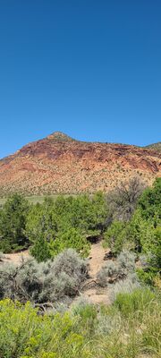 20240831_133545.jpg