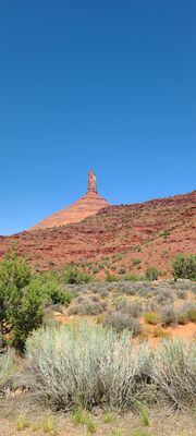 20240831_134859.jpg