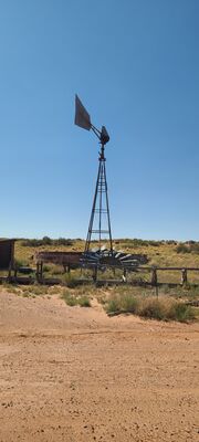 20240831_153905.jpg