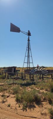 20240831_153926 (2).jpg