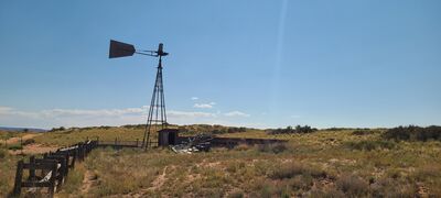 20240831_154034.jpg