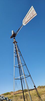 20240831_154433.jpg