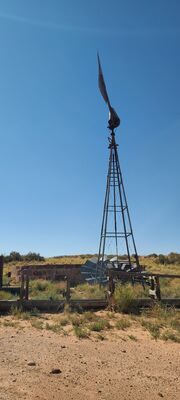 20240831_160355.jpg