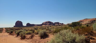 20240831_161028.jpg