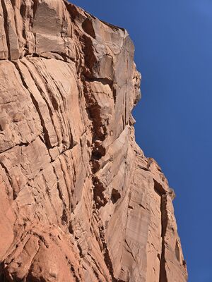 20240831_164423.jpg