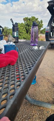 20240901_091648.jpg