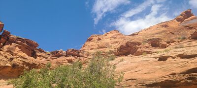 20240901_113448.jpg