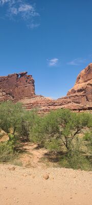20240901_122556.jpg