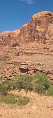 20240901_122804.jpg