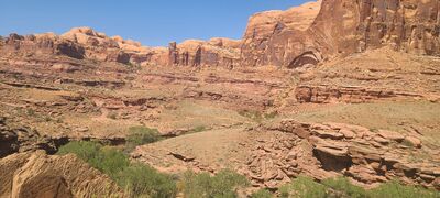 20240901_122811.jpg