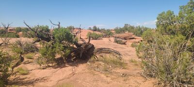 20240901_145927.jpg