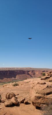 20240901_151714.jpg