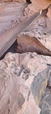20240901_151756.jpg