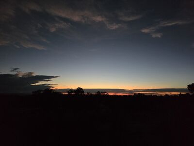 20240901_202531.jpg