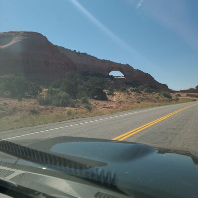 20240902_105430.jpg