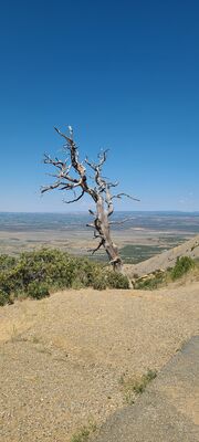 20240902_125230 (2).jpg