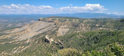 20240902_131637.jpg