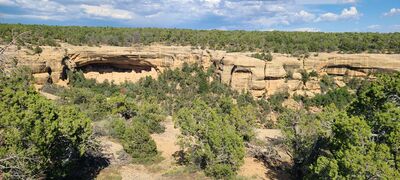 20240902_160423.jpg