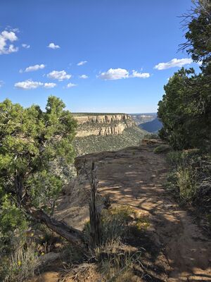 20240902_164743.jpg