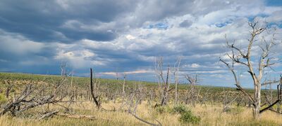20240902_170442.jpg