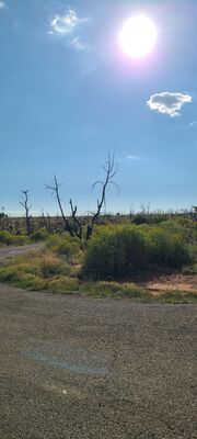 20240902_170945.jpg