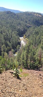 20240903_104127.jpg