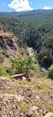 20240903_104158.jpg