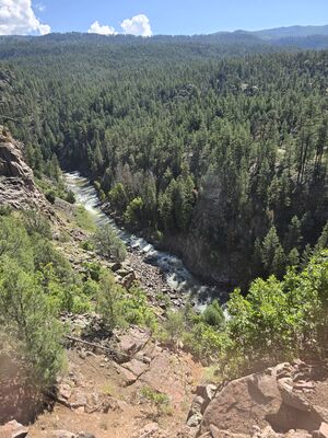 20240903_104202.jpg