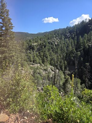 20240903_104548.jpg