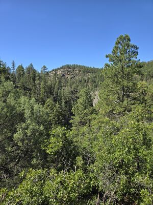 20240903_104830.jpg
