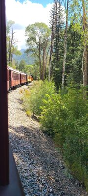 20240903_114107.jpg