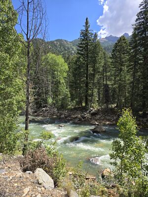 20240903_115328.jpg