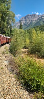 20240903_120607.jpg