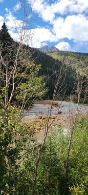 20240903_150645.jpg