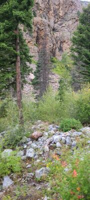 20240903_151917.jpg