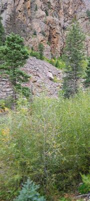 20240903_151919.jpg