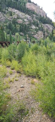 20240903_152108.jpg