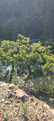 20240903_164657.jpg