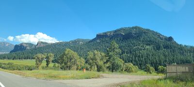 20240904_110408.jpg