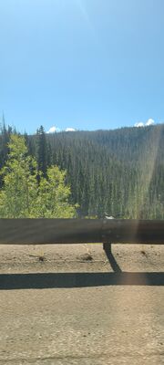 20240904_111341.jpg