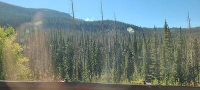 20240904_111502.jpg