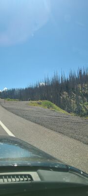 20240904_111754.jpg