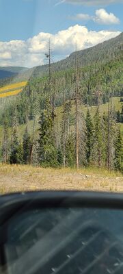20240904_112240.jpg